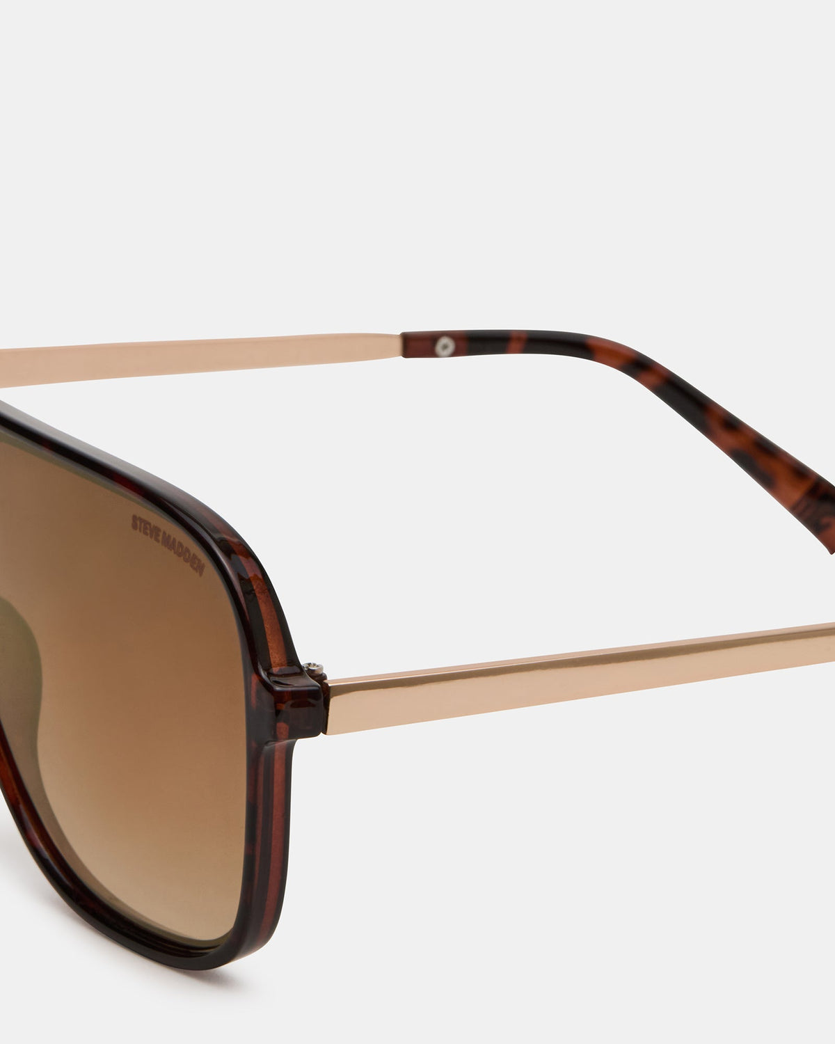HARLAND SUNGLASSES TORTOISE  Famous | Online Store