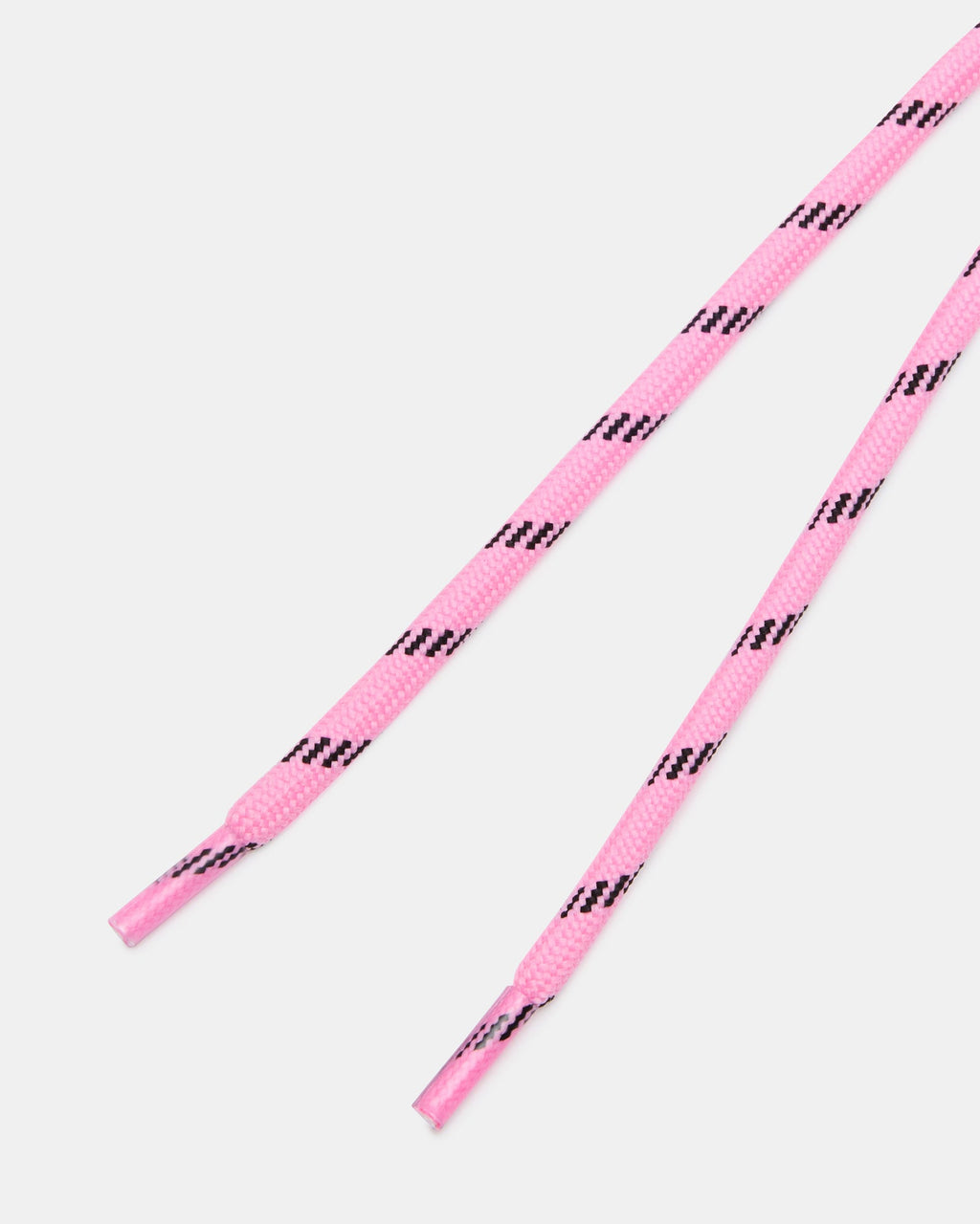 SHOELACE PINK  Famous | Online Store