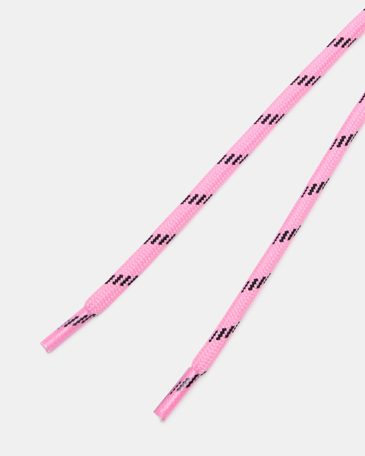 SHOELACE PINK  Famous | Online Store