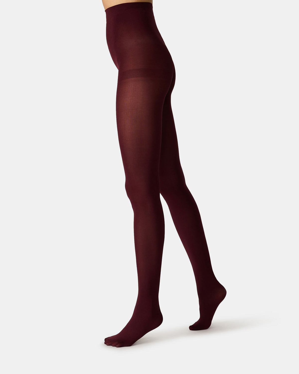 2 PACK SOLID OPAQUE TIGHTS BURGUNDY  Famous | Online Store