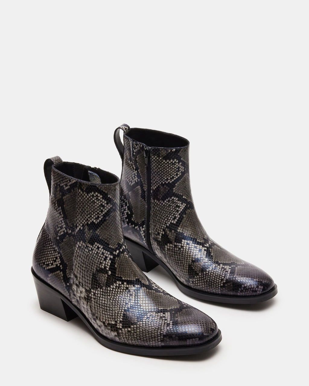 RICHIE GREY SNAKE  Famous | Online Store