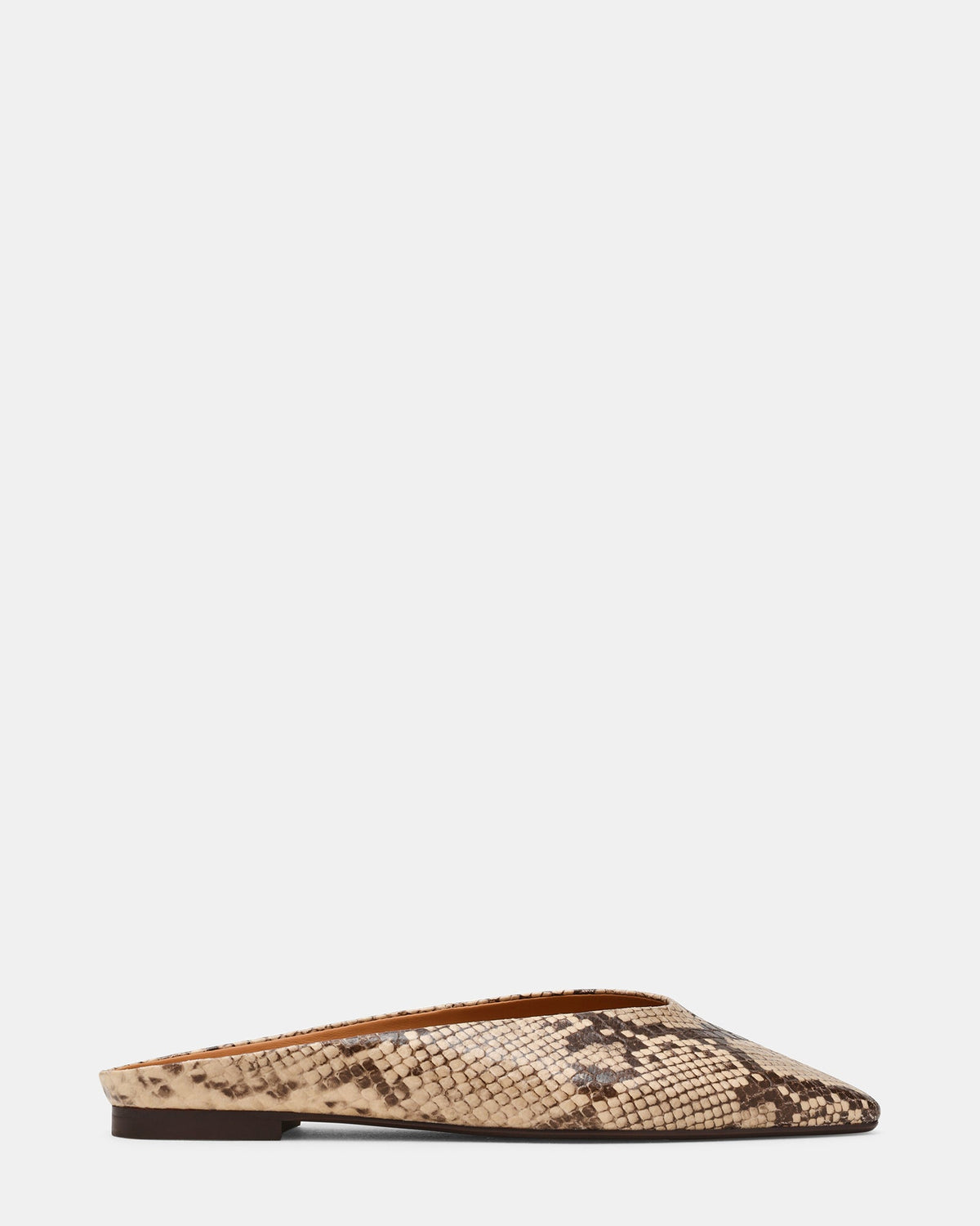 SHERMAN SNAKE MULTI  Famous | Online Store