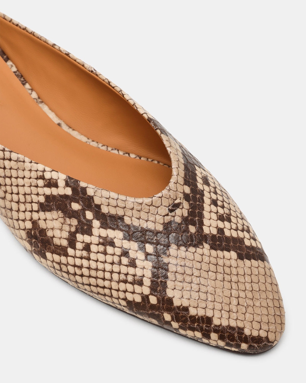SHERMAN SNAKE MULTI  Famous | Online Store