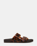 ABOTT TORTOISE  Famous | Online Store