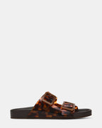 ABOTT TORTOISE  Famous | Online Store