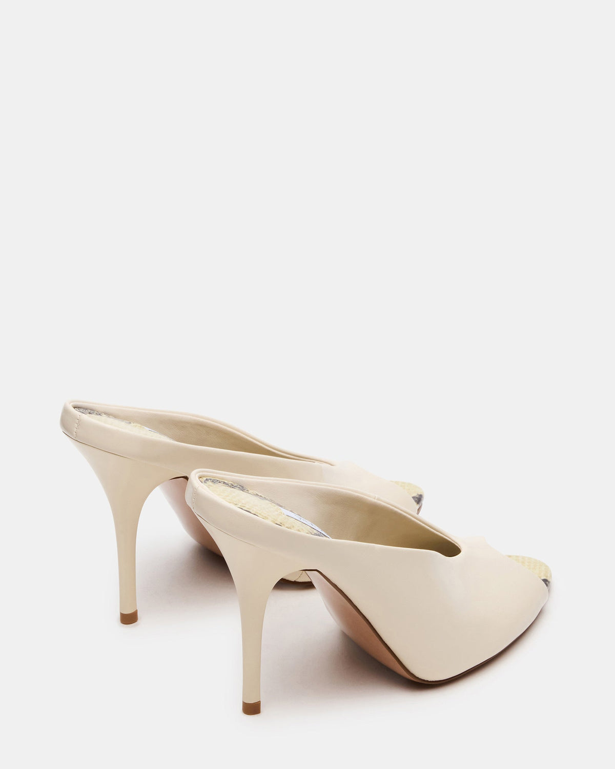 AGAZE BONE MULTI  Famous | Online Store