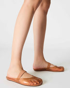 COVA BLUSH