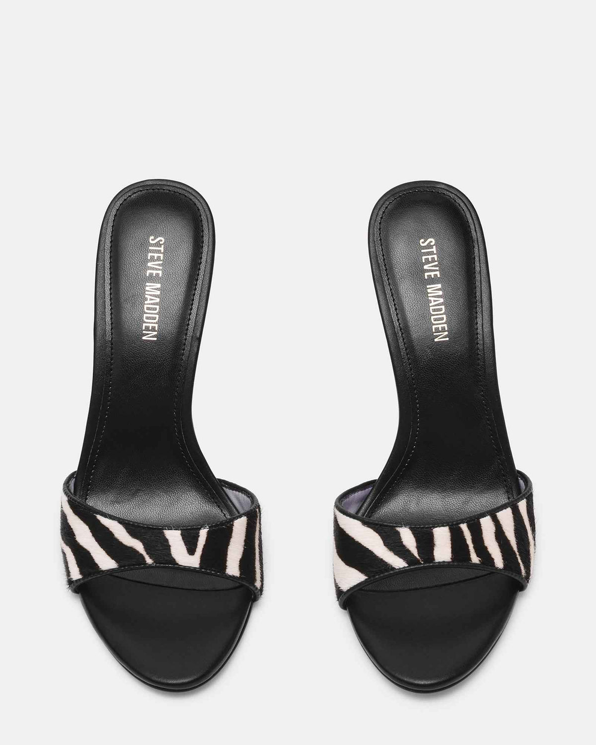 DAVINA ZEBRA