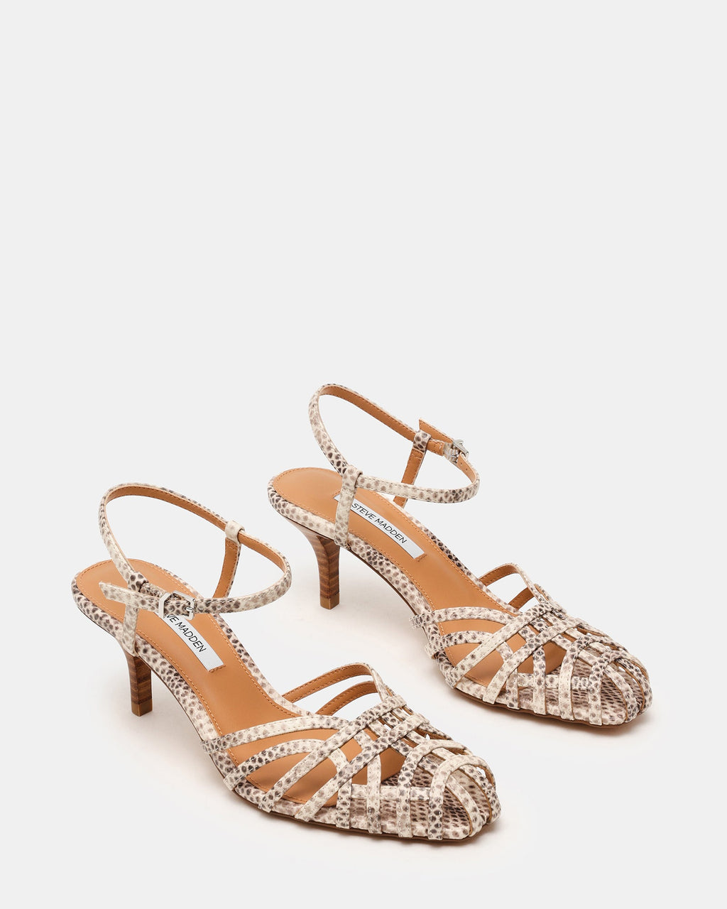 EDIN SNAKE  Famous | Online Store
