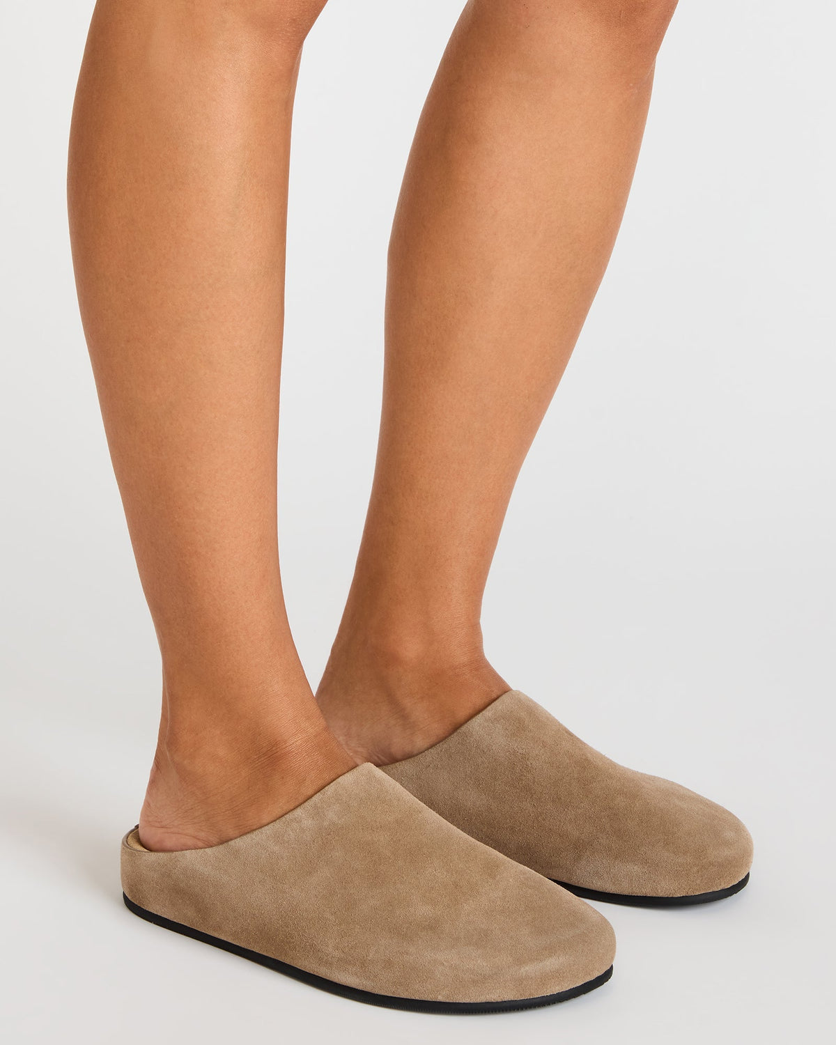 FERN TAUPE SUEDE  Famous | Online Store