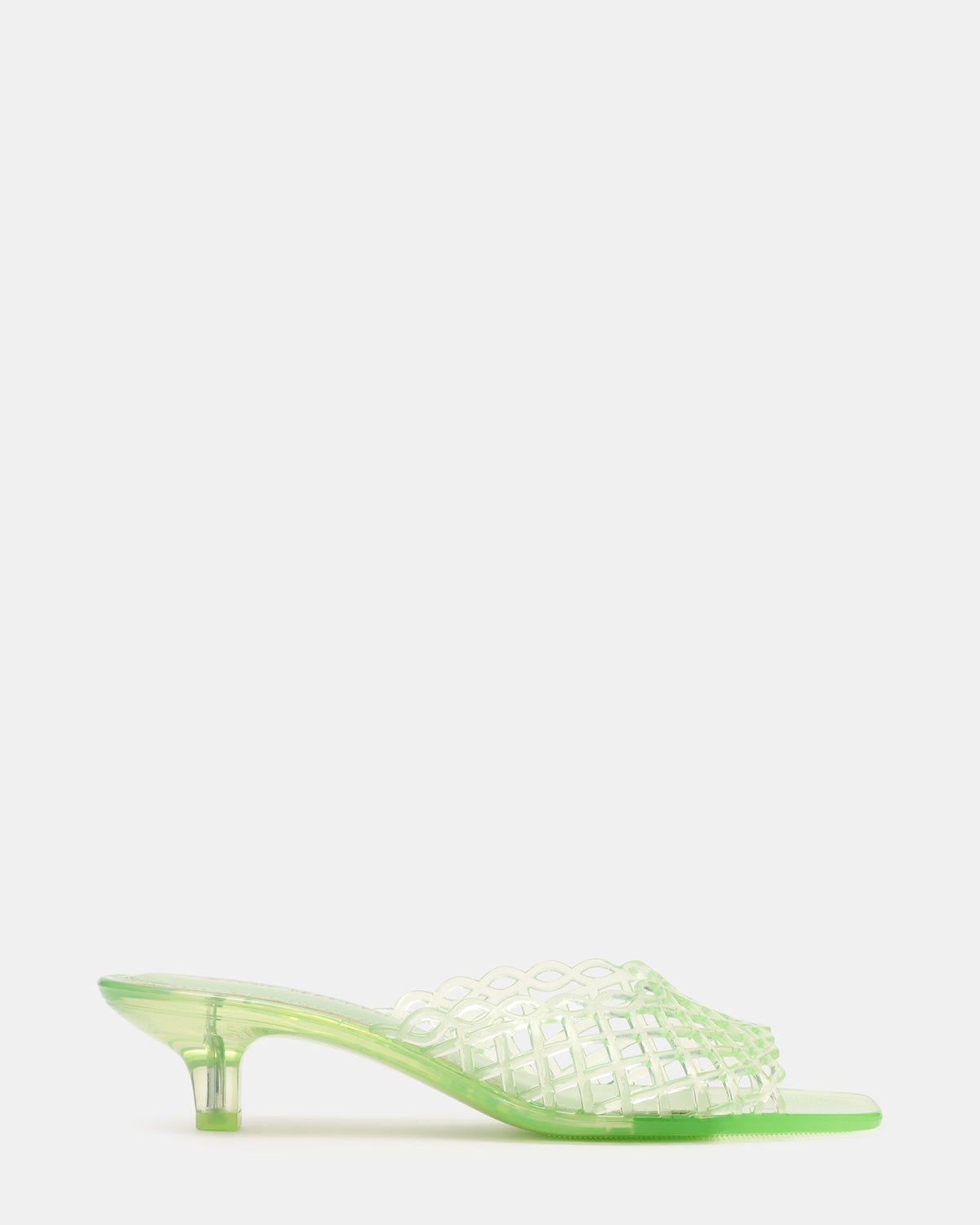 GINGER PISTACHIO  Famous | Online Store