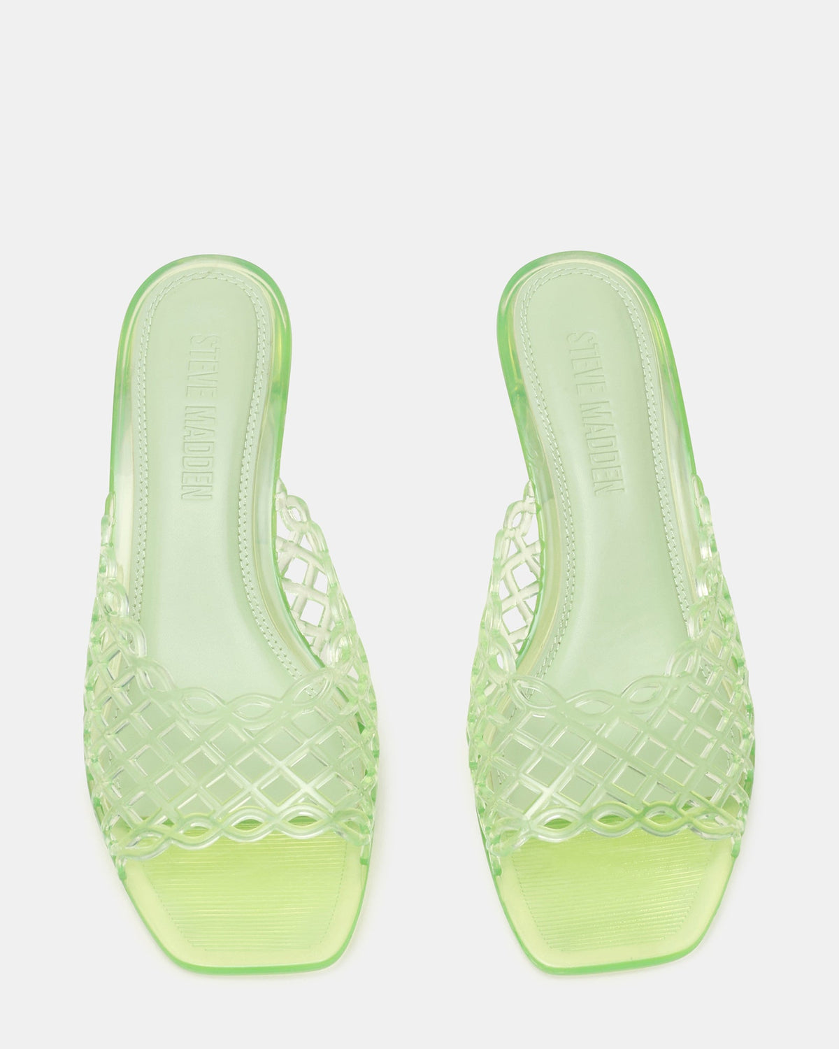GINGER PISTACHIO  Famous | Online Store