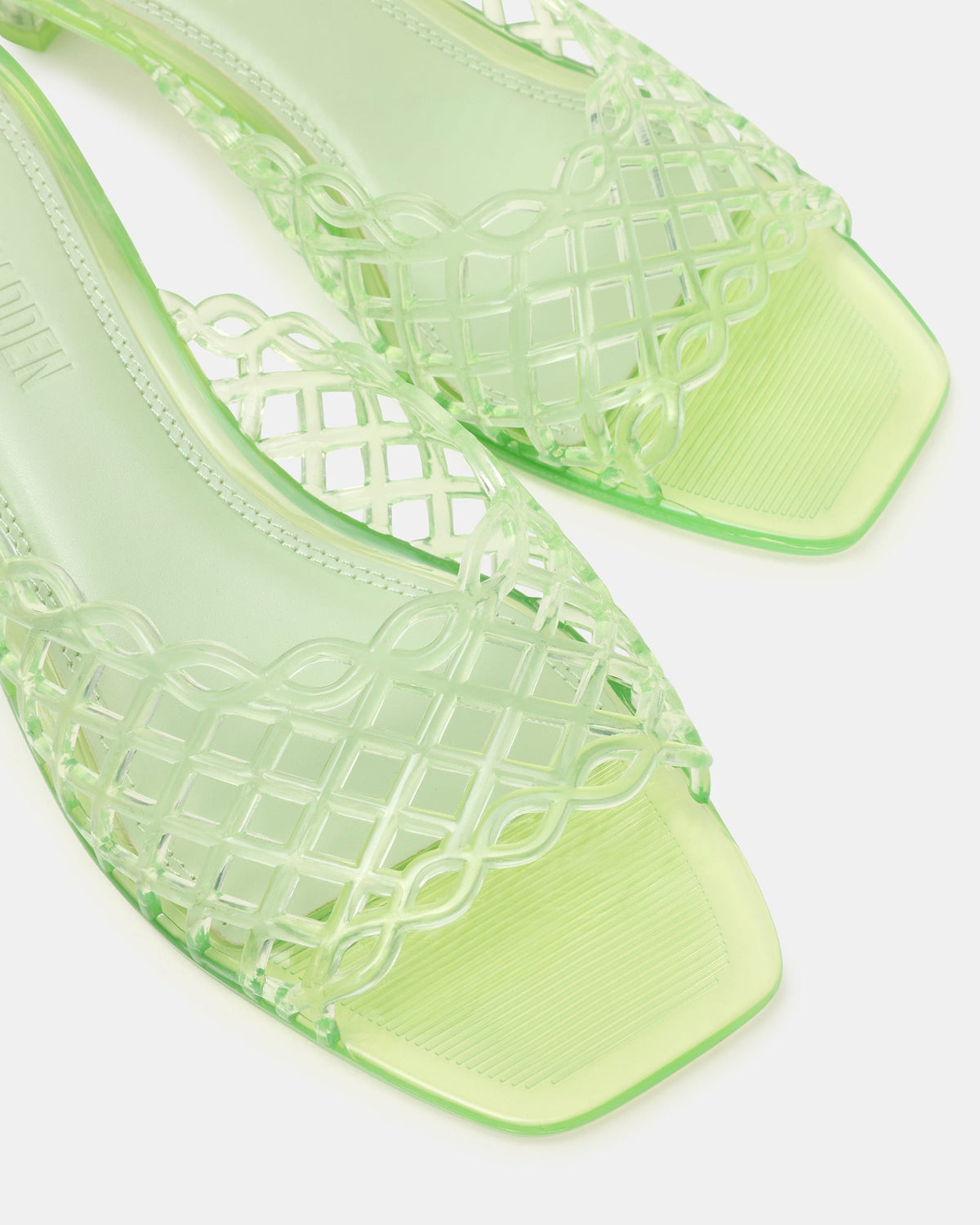 GINGER PISTACHIO  Famous | Online Store