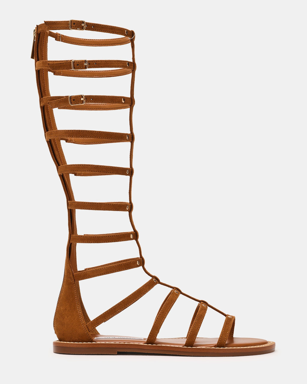 GLADIUS CHESTNUT  Famous | Online Store