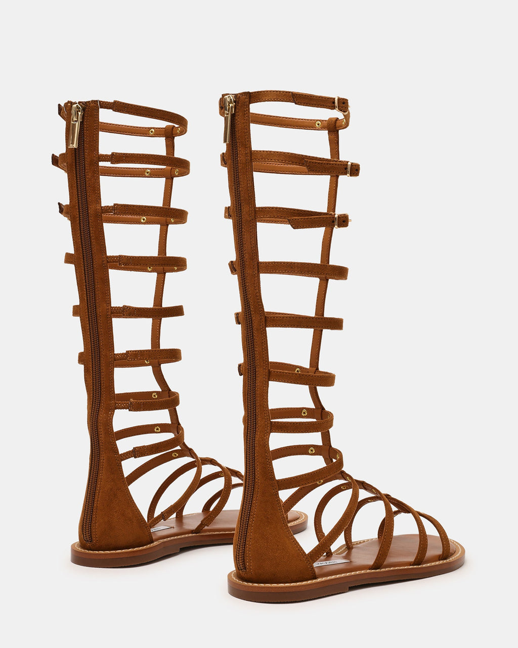 GLADIUS CHESTNUT  Famous | Online Store