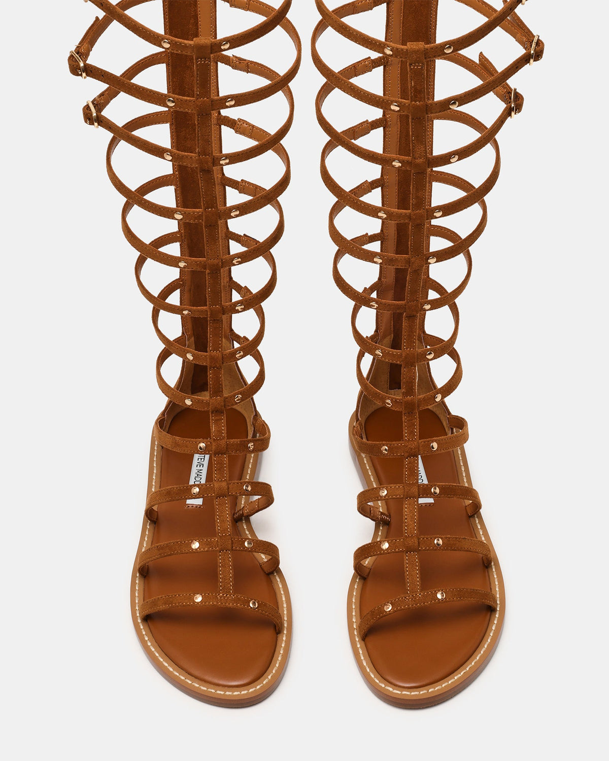 GLADIUS CHESTNUT  Famous | Online Store