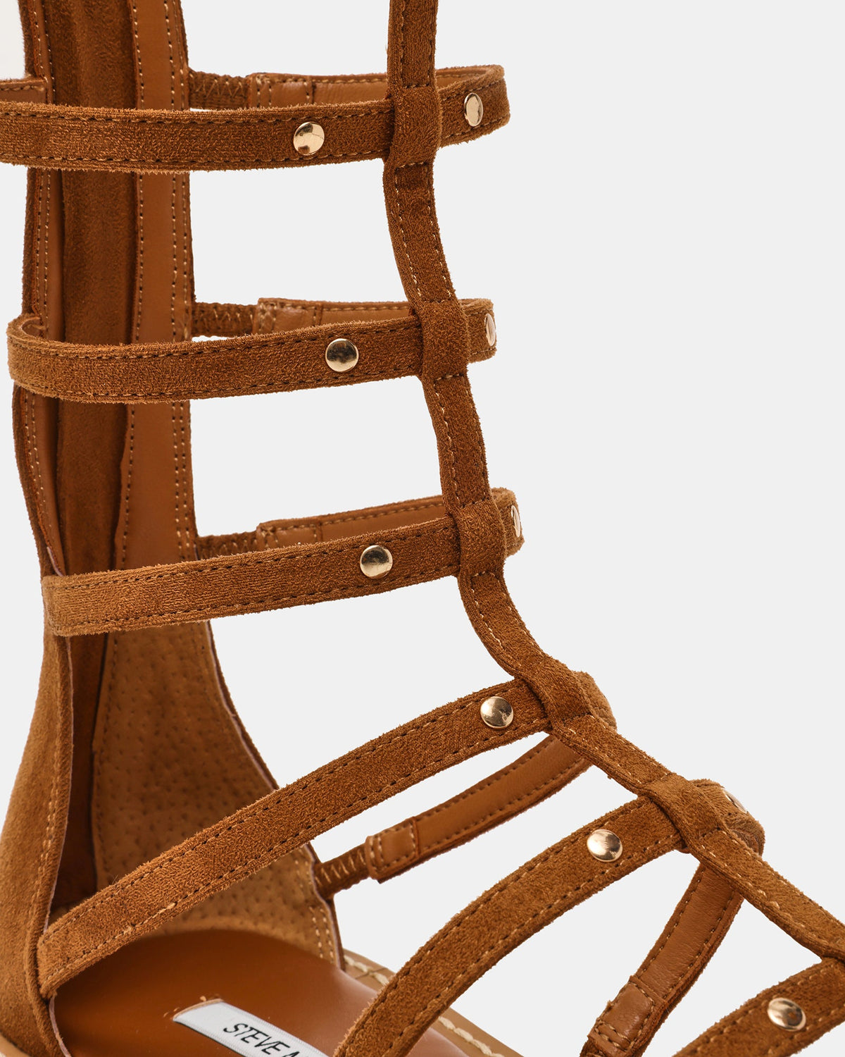 GLADIUS CHESTNUT  Famous | Online Store