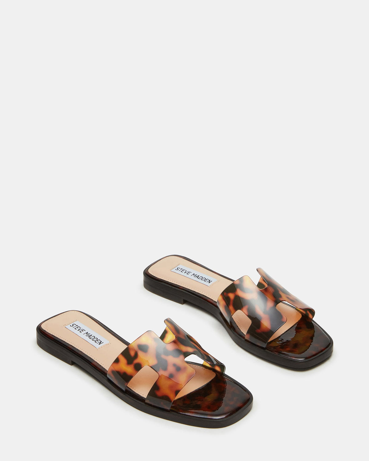HADYN TORTOISE  Famous | Online Store
