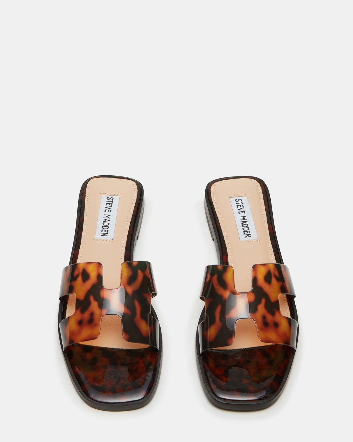 HADYN TORTOISE  Famous | Online Store