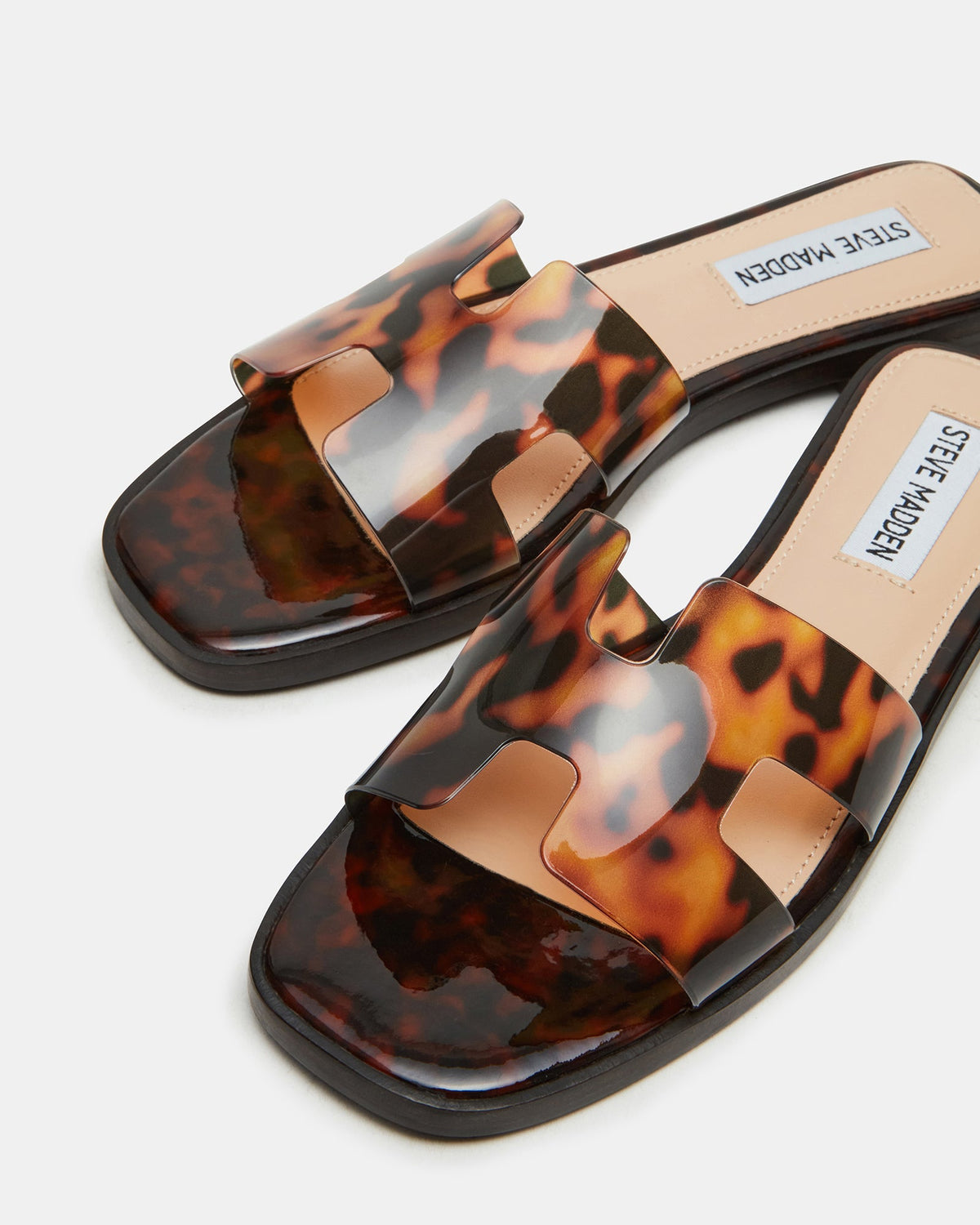 HADYN TORTOISE  Famous | Online Store