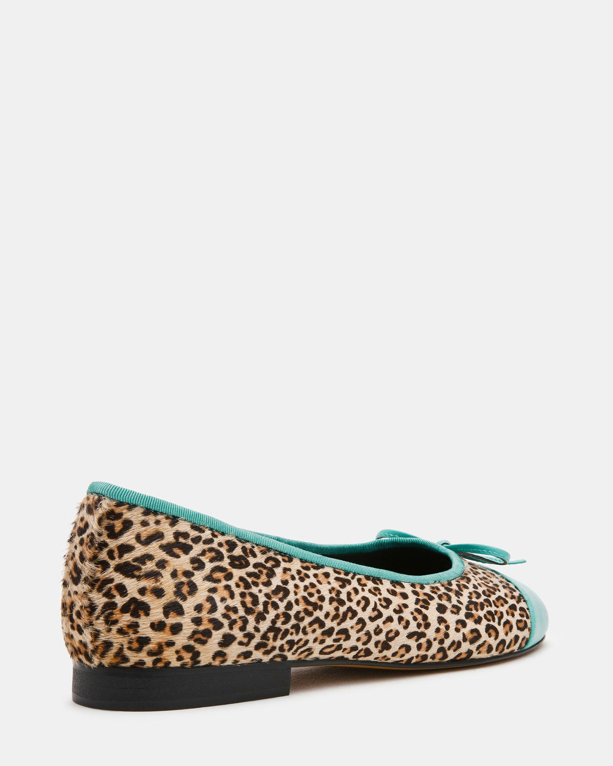 KIT TEAL/LEOPARD  Famous | Online Store