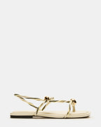 LOCO BONE MULTI  Famous | Online Store