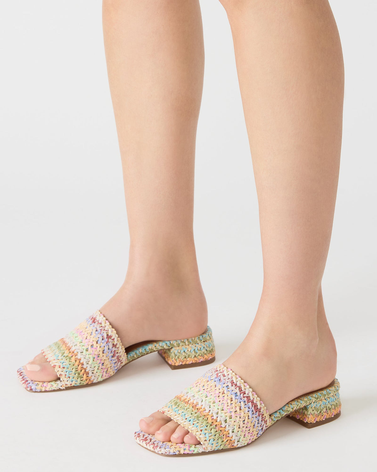 MONTGOMERY BRIGHT MULTI  Famous | Online Store