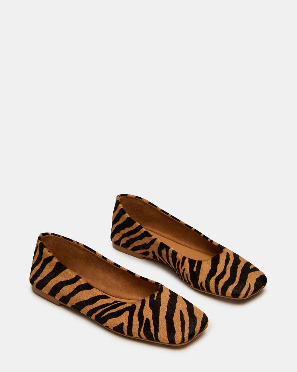 NURTURE ZEBRA  Famous | Online Store