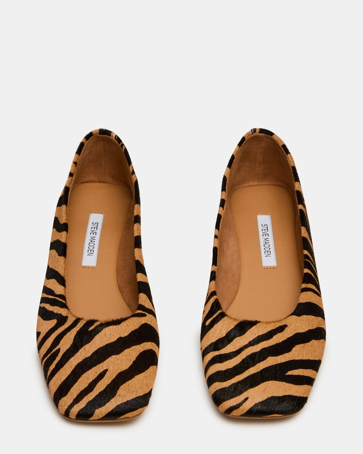 NURTURE ZEBRA  Famous | Online Store