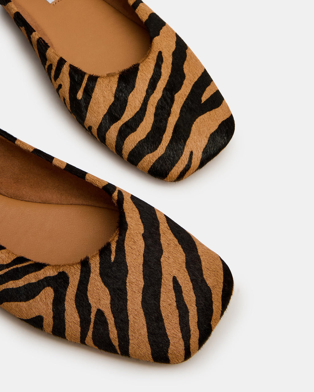 NURTURE ZEBRA  Famous | Online Store