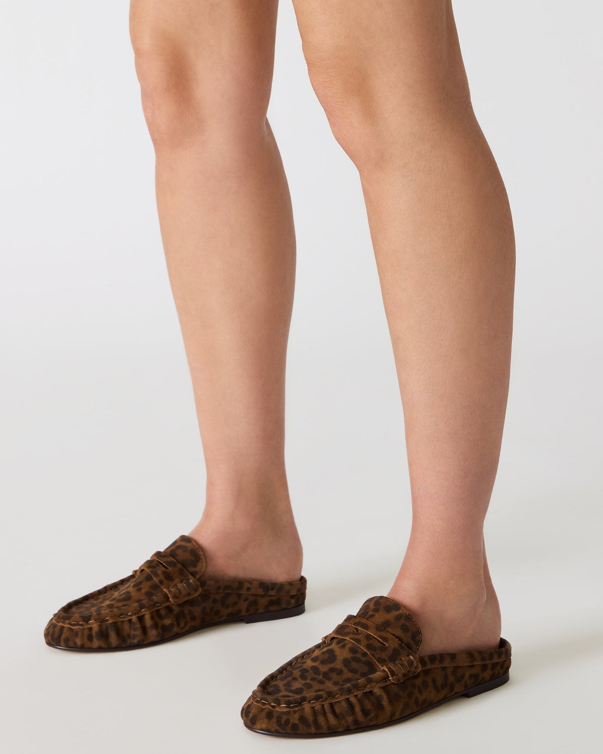 RAFE LEOPARD SUEDE  Famous | Online Store
