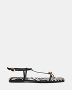 RITZY ZEBRA  Famous | Online Store