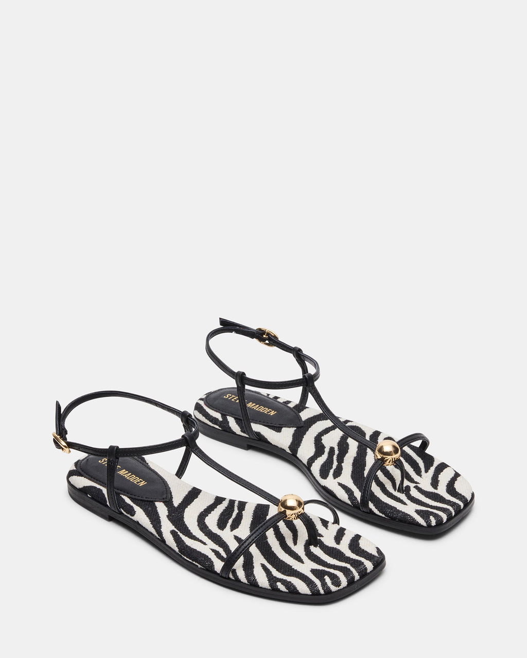 RITZY ZEBRA  Famous | Online Store