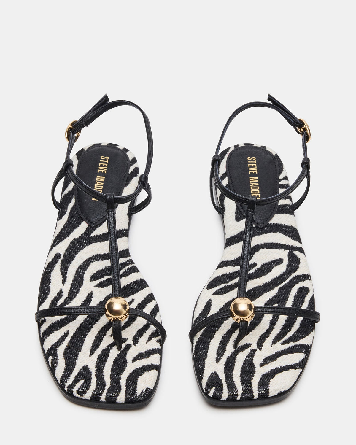 RITZY ZEBRA  Famous | Online Store