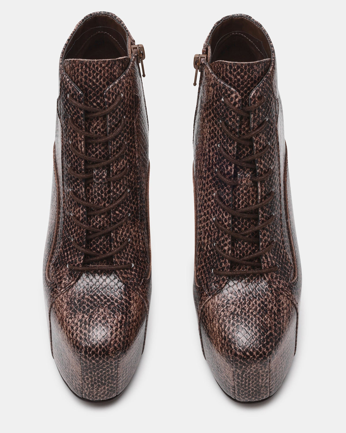 SHAINA SNAKE  Famous | Online Store