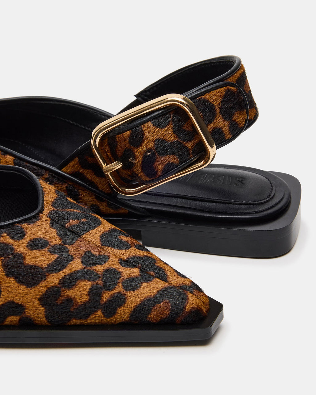 SHAY LEOPARD  Famous | Online Store