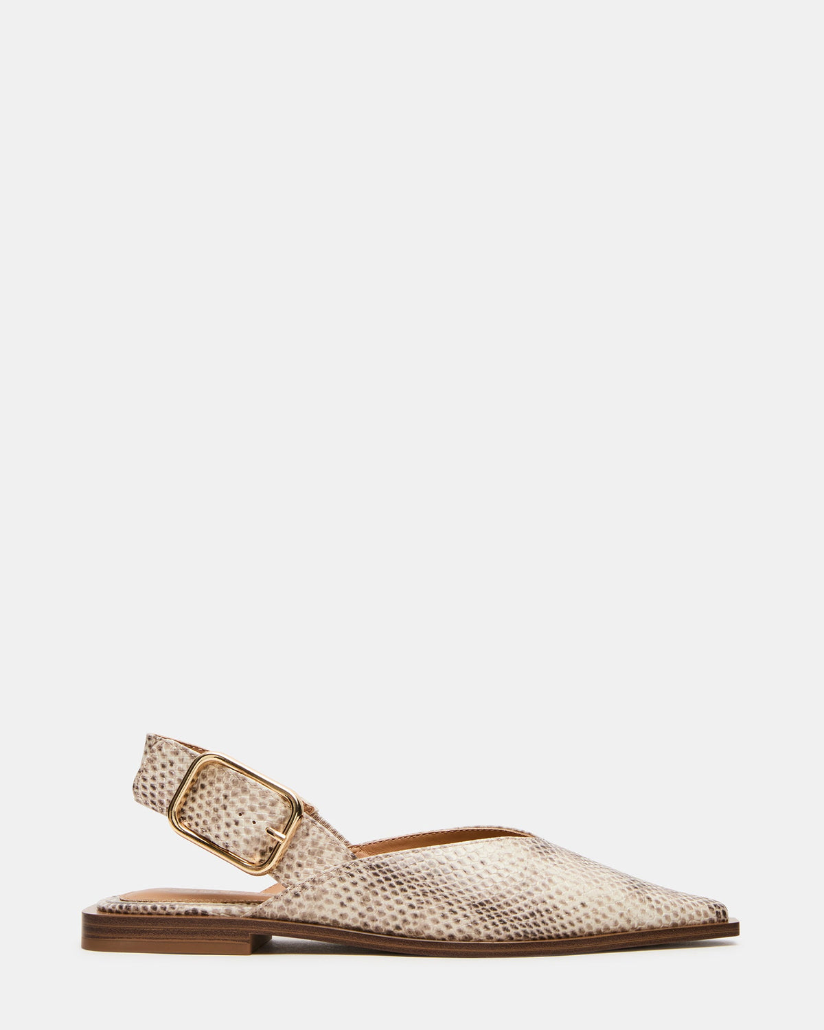 SHAY SNAKE  Famous | Online Store