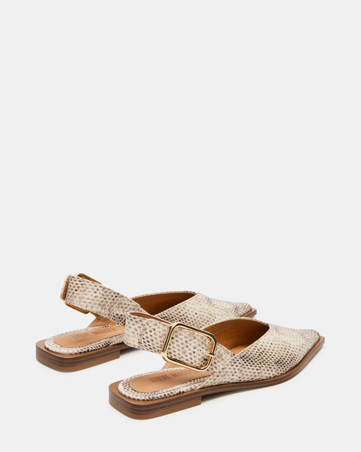 SHAY SNAKE  Famous | Online Store
