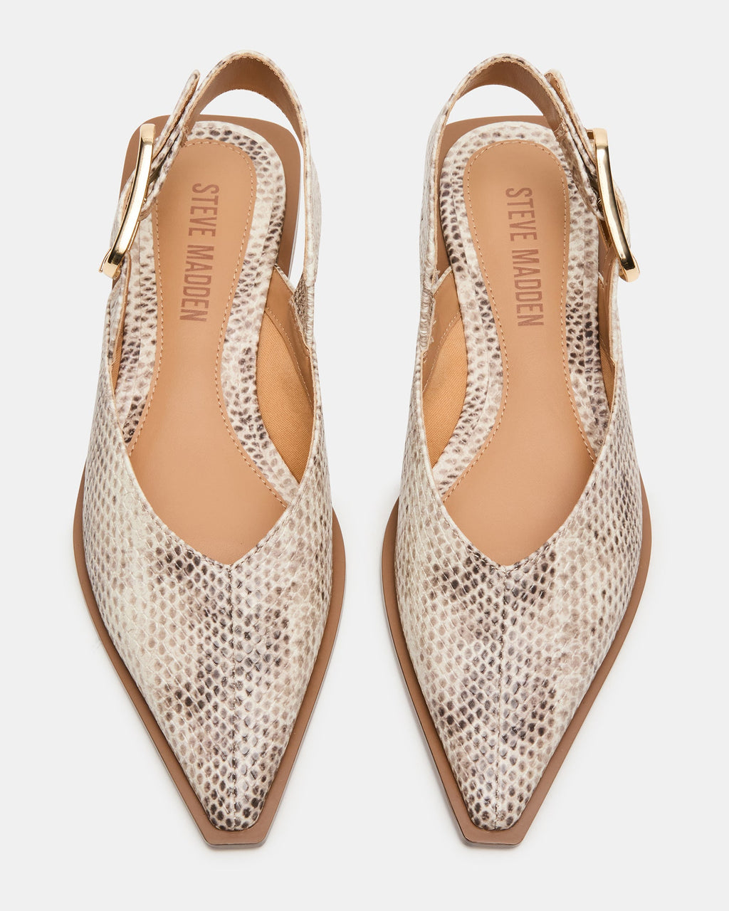 SHAY SNAKE  Famous | Online Store