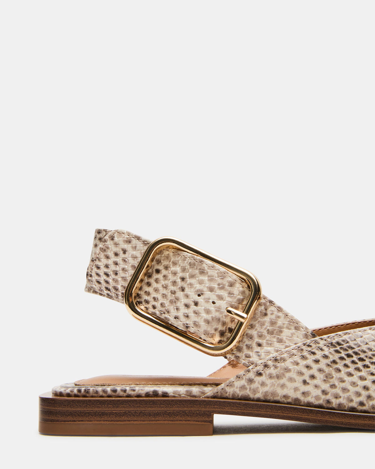 SHAY SNAKE  Famous | Online Store