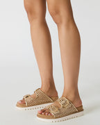 SHELLBY GOLD  Famous | Online Store
