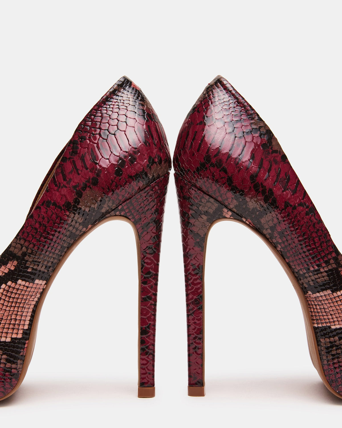 STELAN PURPLE SNAKE  Famous | Online Store