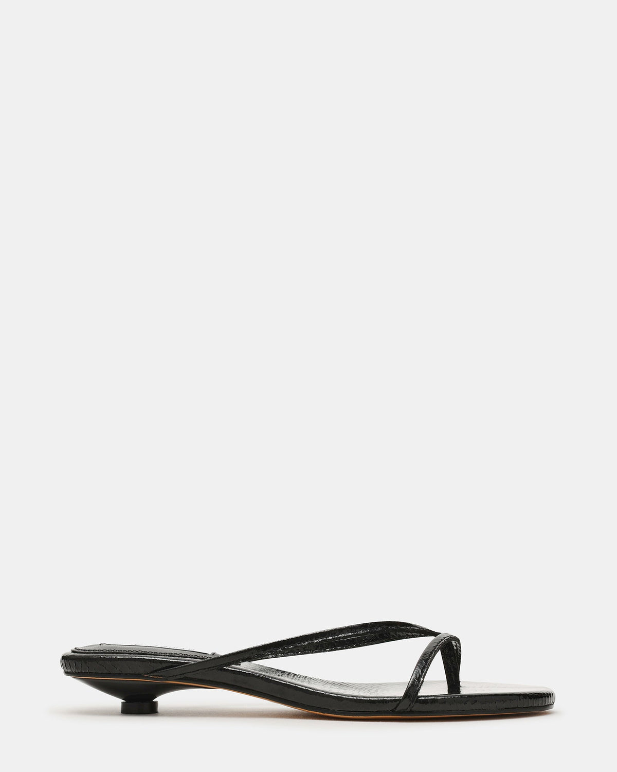 TERRY BLACK SNAKE  Famous | Online Store