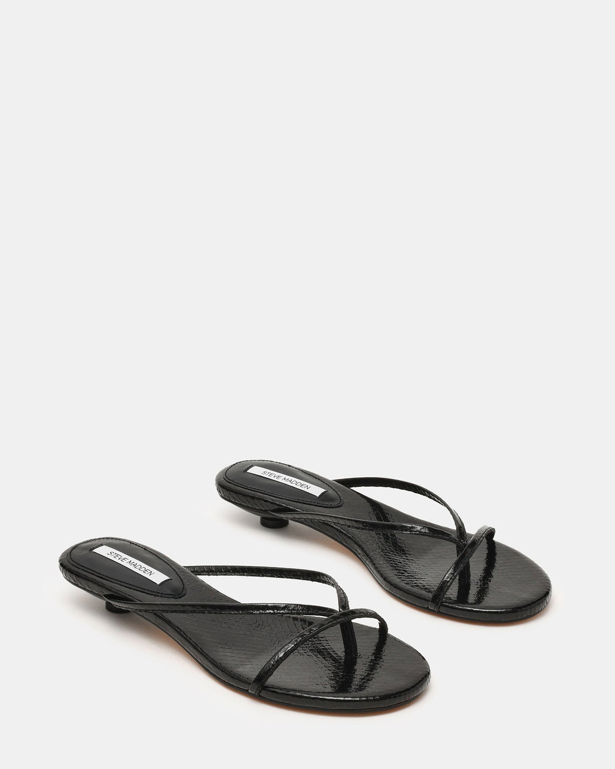 TERRY BLACK SNAKE  Famous | Online Store