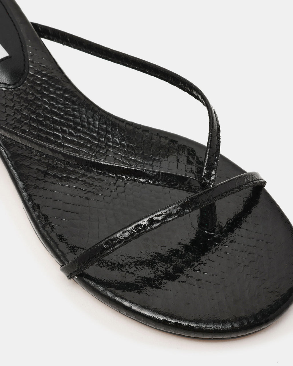 TERRY BLACK SNAKE  Famous | Online Store