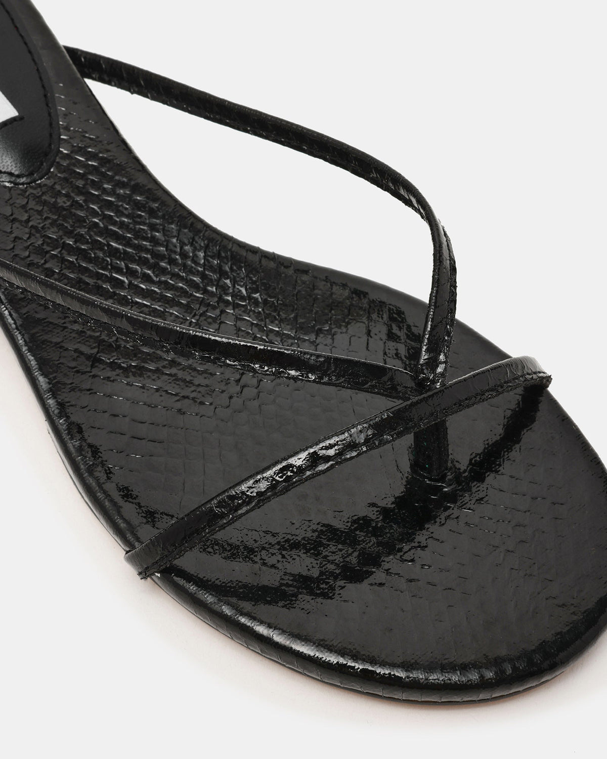 TERRY BLACK SNAKE  Famous | Online Store