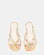 TRELLA JELLY CITRUS  Famous | Online Store