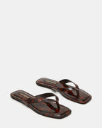 TRELLA TORTOISE  Famous | Online Store