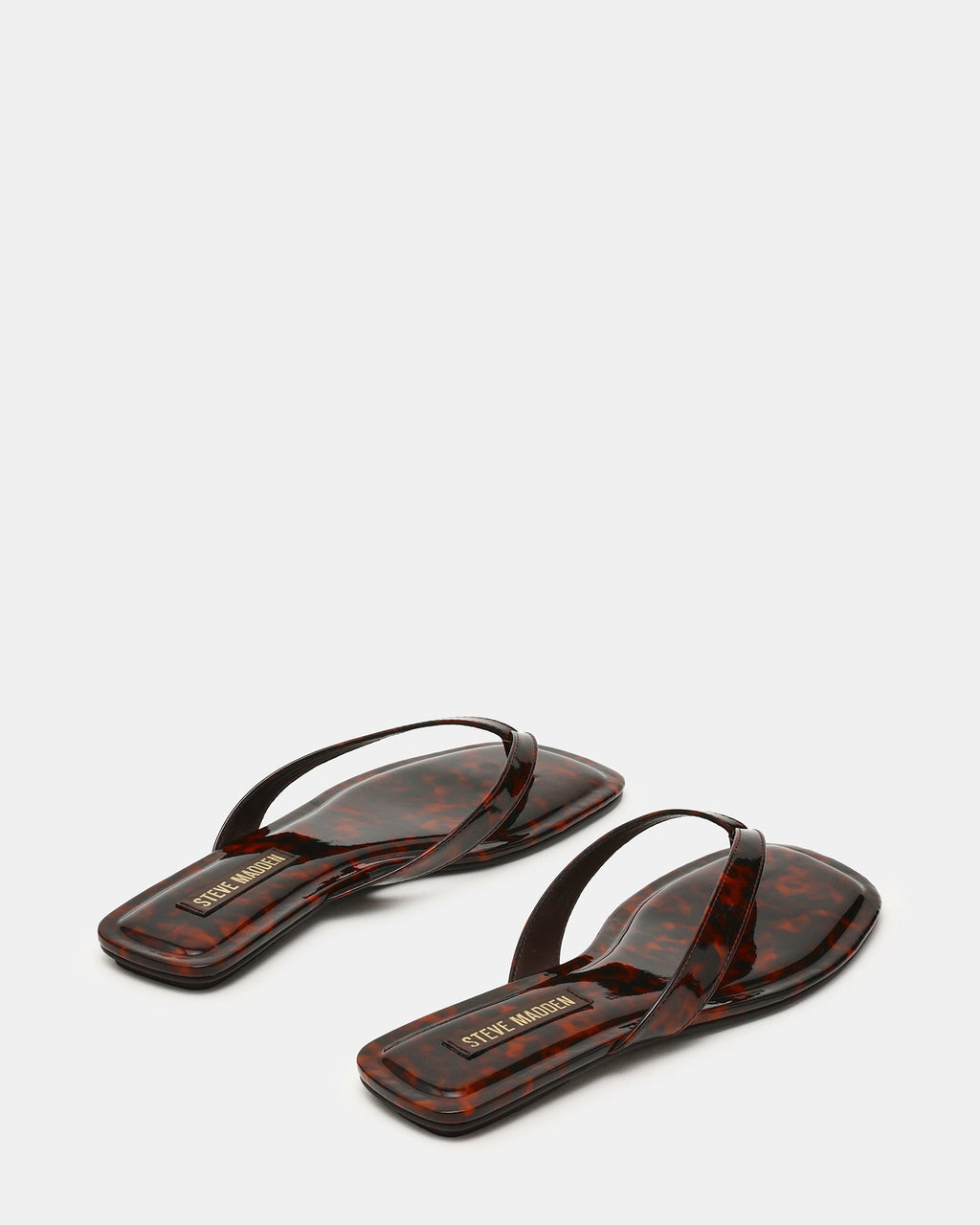 TRELLA TORTOISE  Famous | Online Store
