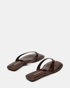TRELLA TORTOISE  Famous | Online Store